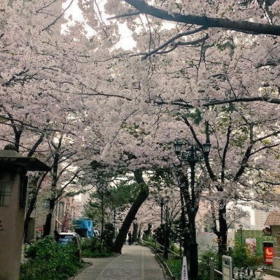 なゆたさんのプロフィール画像