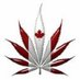 The Canadian Cannabis Investor (@Investor_THC) Twitter profile photo