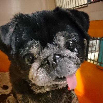 springrain_koh's profile picture. 