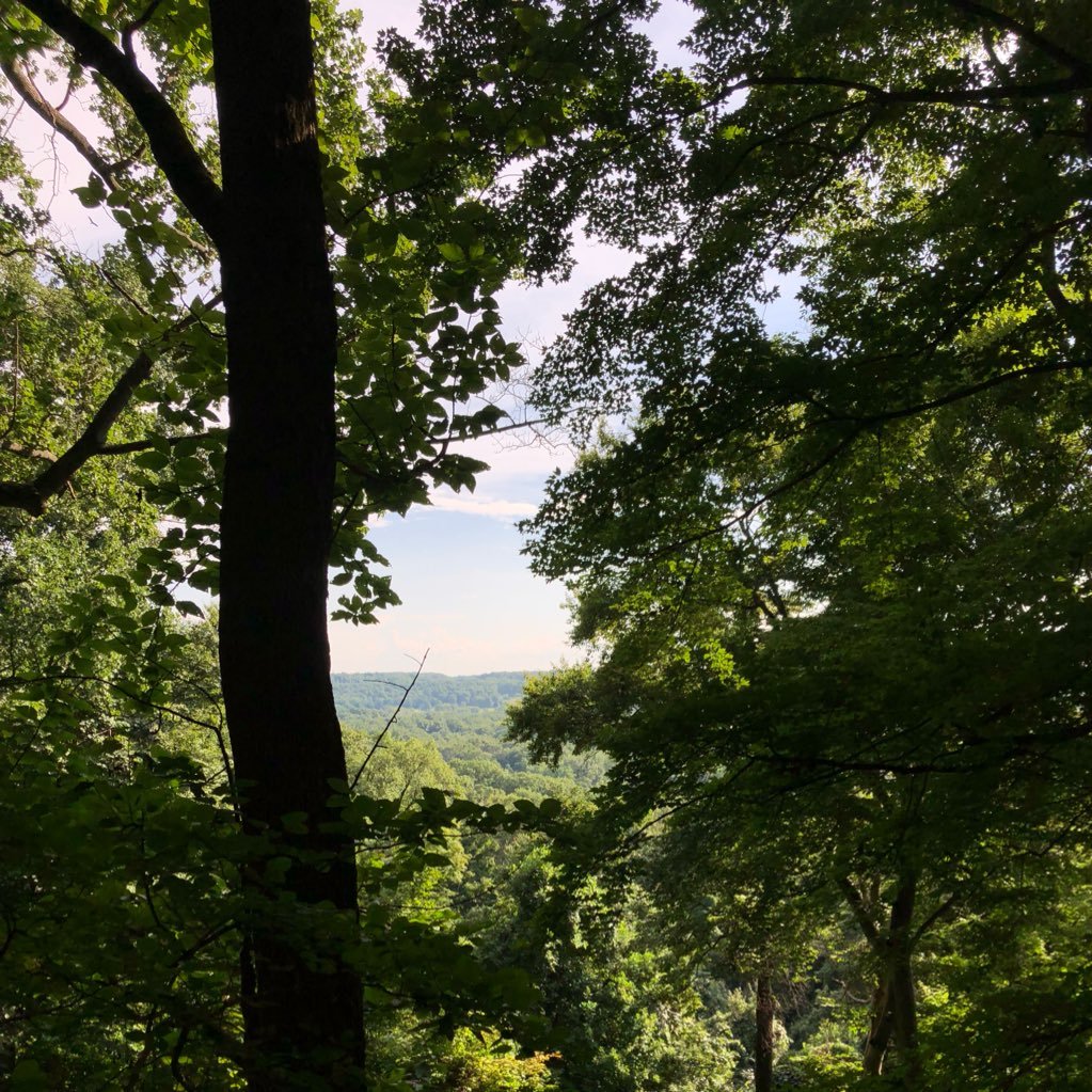 JulesDTweet's profile picture. 