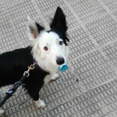 Juankar74c's profile picture. 