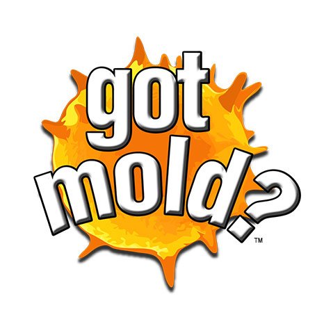 gotmoldglobal Profile Picture