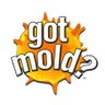 gotmoldglobal's profile picture. Mould Remediation, Water & Fire Restoration, Asbestos Abatement & Radon Mitigation & Testing. Serving Saskatchewan and Alberta. CEO/President: @JamesCWatsonSK