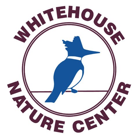 The Whitehouse Nature Center is owned and administered by Albion College as an outdoor education facility. Stop by and enjoy nature with us!