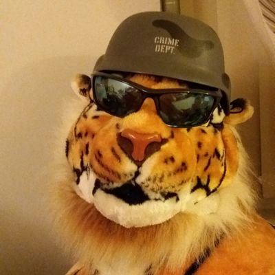 Billymack47's profile picture. Sleeping in me Jag on pills for me nerves