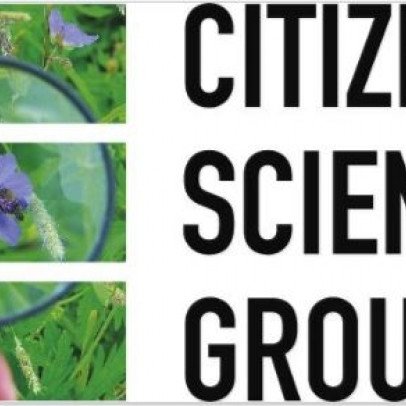 The Citizen Science Special Interest Group of the British Ecological Society. Bringing people together to support creativity in ecological research