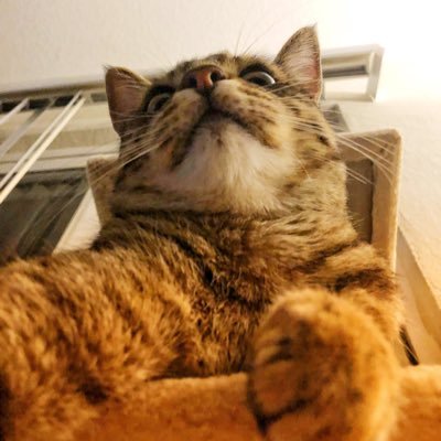 L__Faith's profile picture. I get high on life dude!!!