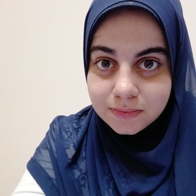 Muslim,Egyptian,Social Siences Researcher , studied at Faculty of Law - English section- Cairo university, Public Law diploma from Cairo University.