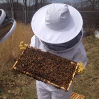 Ms. Palombi (@ms_palombee) 's Twitter Profile