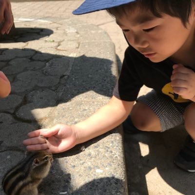 Shirotaポケモンgo復帰勢 新潟 結論から言うと粟島公園ちゃんとワンリキーの巣でした ポケモンgo 新潟 粟島公園 ワンリキーの巣