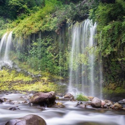 Angel83571241's profile picture. 