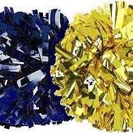 TMS Cheer (@ttownms_cheer) 's Twitter Profile
