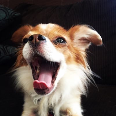 mayvme's profile picture. USMC SSgt. An avid music listener. Hobbies include composing music, painting abstract, volunteering, helping others & reading books. Peace & love!