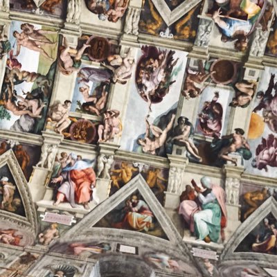 zoehelmk's profile picture. 