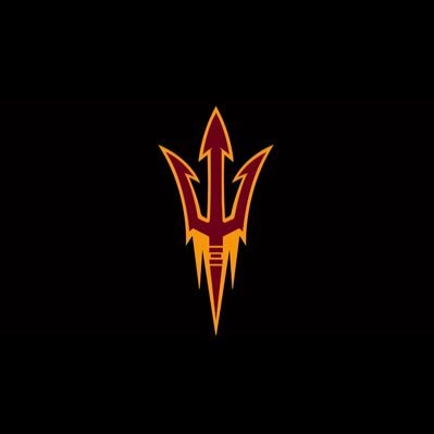 DIRECTOR OF TRACK AND FIELD & CC / EVENTS SPRINTS/ HURDLES & RELAYS COACH ARIZONA STATE UNIVERSITY TRACK & FIELD,SIGMA MAN ,WEST POINT DAD
