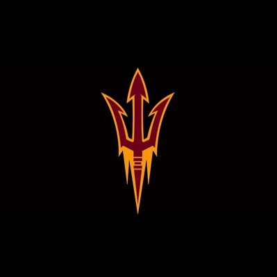 DIRECTOR OF TRACK AND FIELD & CC / EVENTS SPRINTS/ HURDLES & RELAYS COACH ARIZONA STATE UNIVERSITY TRACK & FIELD,SIGMA MAN ,WEST  POINT DAD