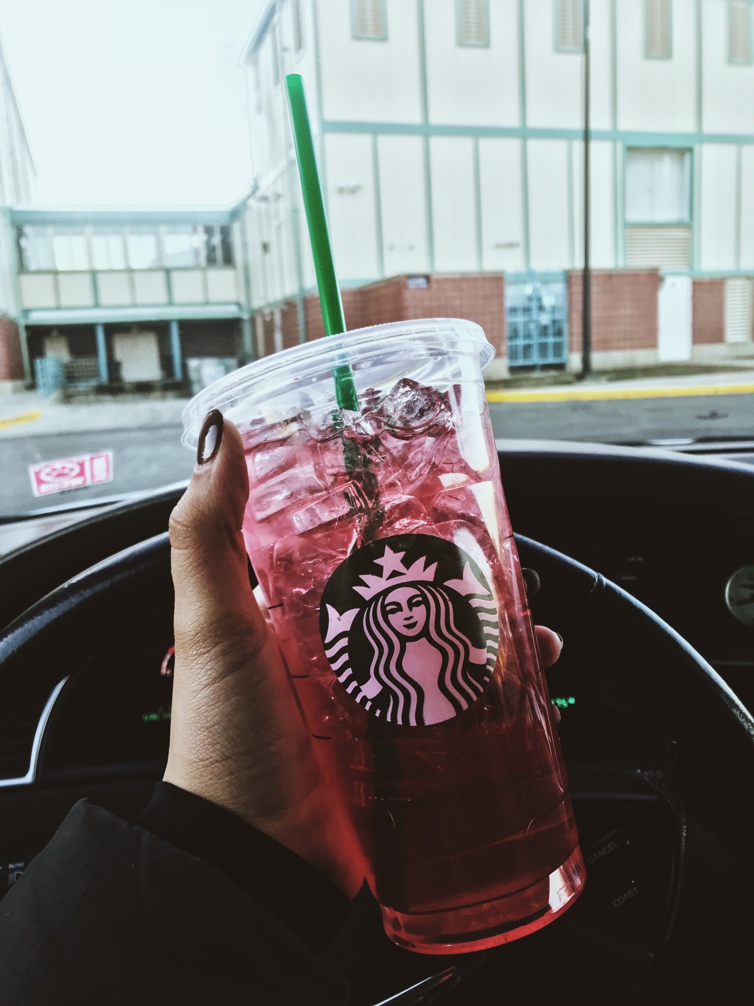 basicbitches365's profile picture. for basic hoes.