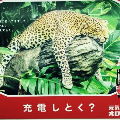 いっちさんのプロフィール画像
