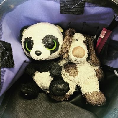 Adventures of stuffed animals traveling about and taking pictures with the help of their humans.
