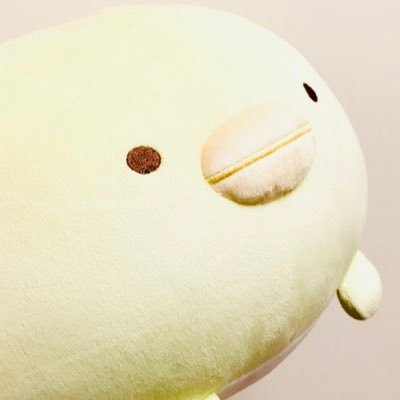 将棋が好き 渡辺明九段を筆頭に贔屓の先生たくさん(呟き多め⚠︎ l おいしいものがすき l 書道はお休み中l たまにスポーツ観戦 )