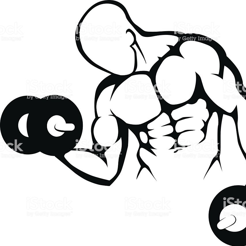 gymbot1's profile picture. Gymbot generator for COMMS 301 at the University of Auckland. Tweets every hour! Code is here: https://t.co/WuoZXP0oeq