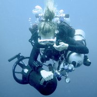 Angela Stevenson (@deepseaslug) 's Twitter Profile