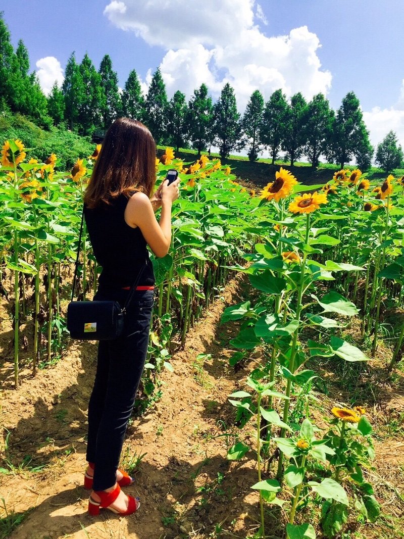 きゃすみん K Twitter