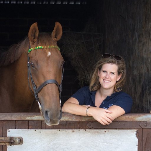 Canine and Equine Photographer in Kent. Capturing more than just moments