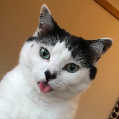 i6mHk5NbcEI7OEo Profile Picture