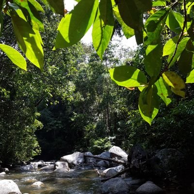 tzeyeng1's profile picture. 