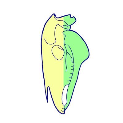 サフォークさんのプロフィール画像