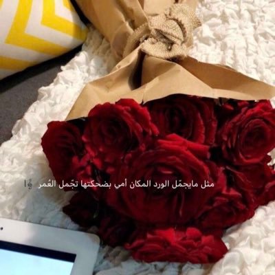 iQwdvfvL1SaIkAe's profile picture. 