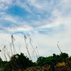 雲虹カフェ 全能神教会 元を辿ると 李家 T Co Odrquxsami 李常受 ウェットネスリー このリーは ウィッチマンニーの刊行誌 明けの明星 に影響を受けている 明けの明星 ルシファー 全能神教会の別名 東方の稲妻 稲妻 ルシファー 全能神教会