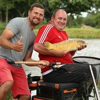 Steve Wills (@stevewills19) 's Twitter Profile