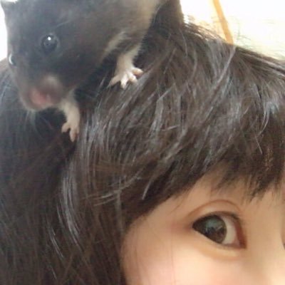 Rin19970109's profile picture. やっぽぉ🙂🙃🙂🙃