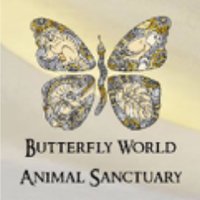 Animal Sanctuary @Butterfly World (@butterflywzoo) 's Twitter Profile Photo Animal Sanctuary @Butterfly World (@butterflywzoo) 's Twitter Profile Photo