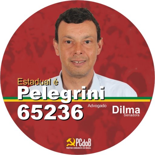 Advogado. Colunista no Brasil247. Presidente do PCdoB de Caxambu/MG. Candidato a Deputado Estadual. Vote 65236 Pelegrini é Estadual!