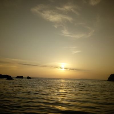 virginiatheoha2's profile picture. 