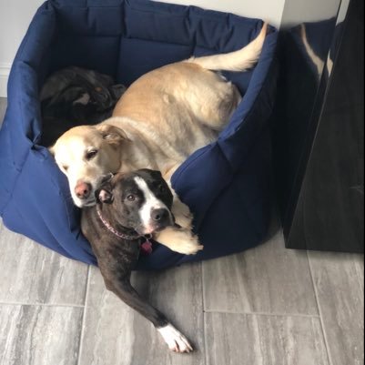 Daz1710's profile picture. 