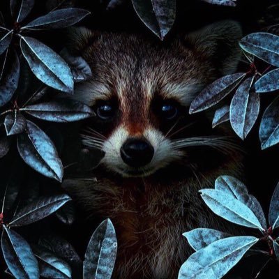 Vasalexv's profile picture. 