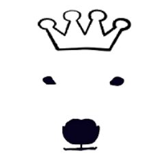 polarchess's profile picture. A grown up learning chess. Or trying to..