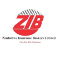 Zimbabwe Insurance Brokers Limited(@ZIBinsurance) 's Twitter Profile Photo