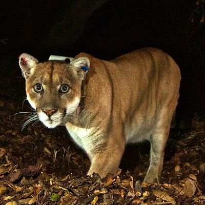 kTWjlm74OLnU4ns's profile picture. NASCAR NASCAR