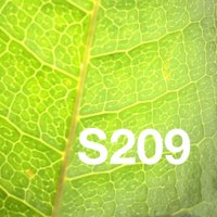 S209 (@s209geology) 's Twitter Profile