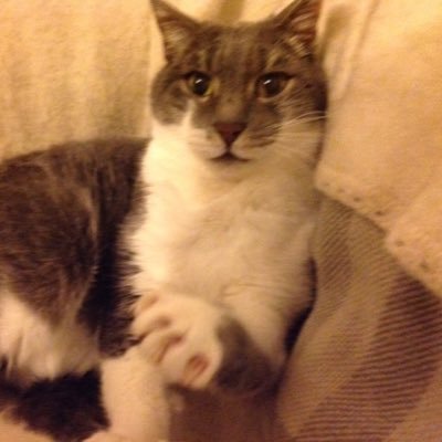 Ofelia77987287's profile picture. Governo & Istituzioni Tecnologia Ambientalismo Notizie Arte Scienza Politica Moda & Design