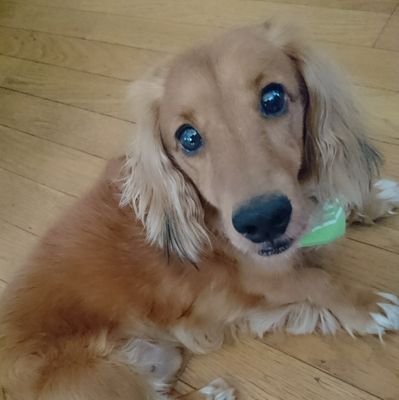 haru117etsu226's profile picture. 
