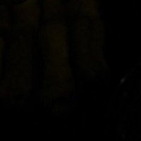 jasun (@jasunmark) 's Twitter Profile