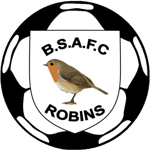 Budleigh Salterton AFC 1st team play in the Devon League , 2nd team D&E League Div3, BSAFC Ladies Devon Premier League , BSAFC Vets Devon League