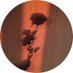 - شروق (@sshurooq11) Twitter profile photo - شروق (@sshurooq11) Twitter profile photo