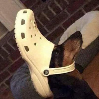 etonesanya's profile picture. 